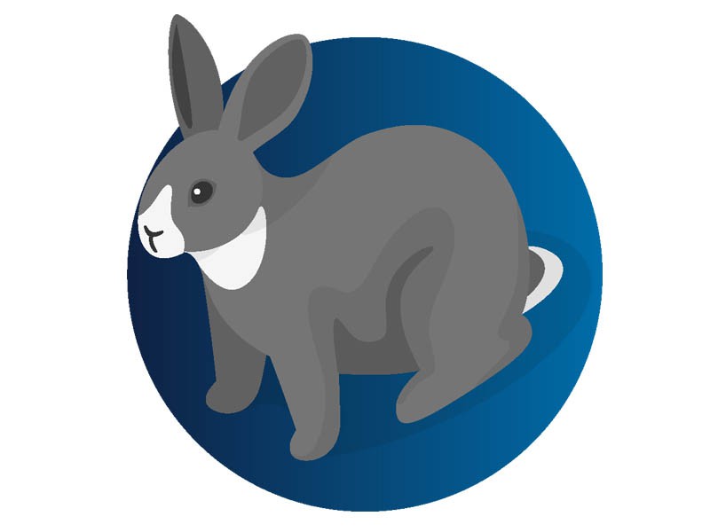 Inactivated Rabbits Vaccines