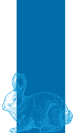 Rabbits Vaccines